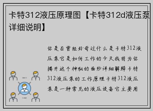 卡特312液压原理图【卡特312d液压泵详细说明】